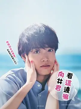 《往这边看 向井君》：爱情迷宫中的单身男子，搞笑与心动的治愈剧