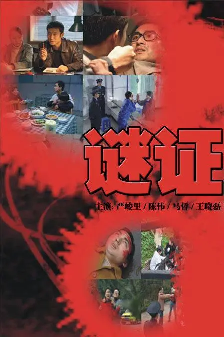 《谜证》:扑朔迷离的案件,抽丝剥茧的真相探寻之旅