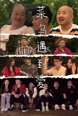 《菜鸟遇到爱》：当钢铁直男遇上爱情小白，笑到喷饭的跨越式恋爱，看直男如何炼成追爱高手！