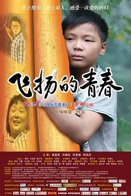 《飞扬的青春》：燃情年代的热血与梦想，一段关于成长与选择的史诗